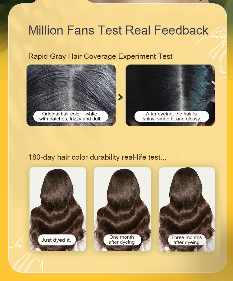 New Japanese Long Lasting Natural Hair Dye Shampoo